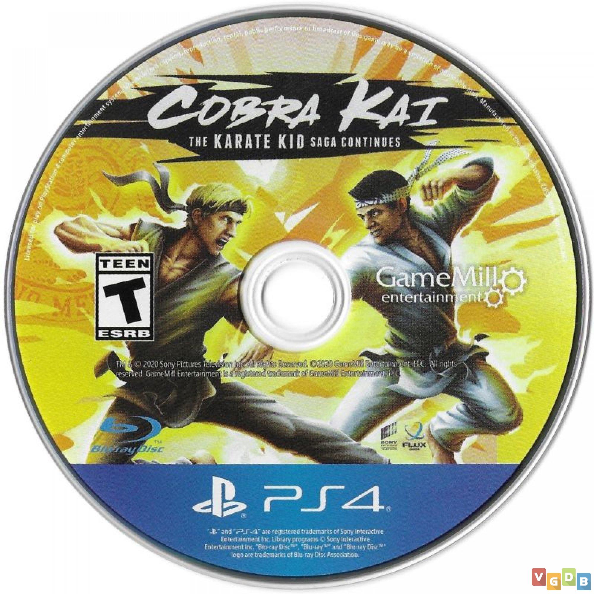 Jogo PS4 Cobra Kai: The Karate Saga Continues