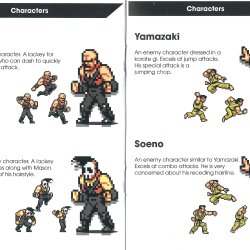 Manual segunda edição USA