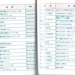 Manual JAP