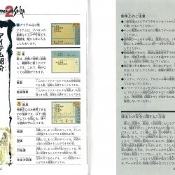 Manual JAP