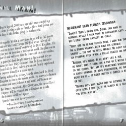 Manual Devil May Cry USA