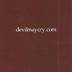 Manual Devil May Cry USA