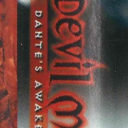 Capa Devil May Cry 3 USA