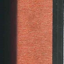 Case USA