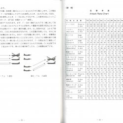 Manual 2 JP