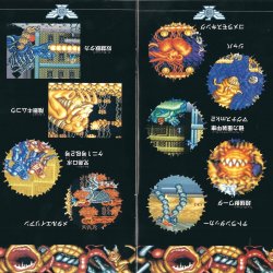 Manual JP